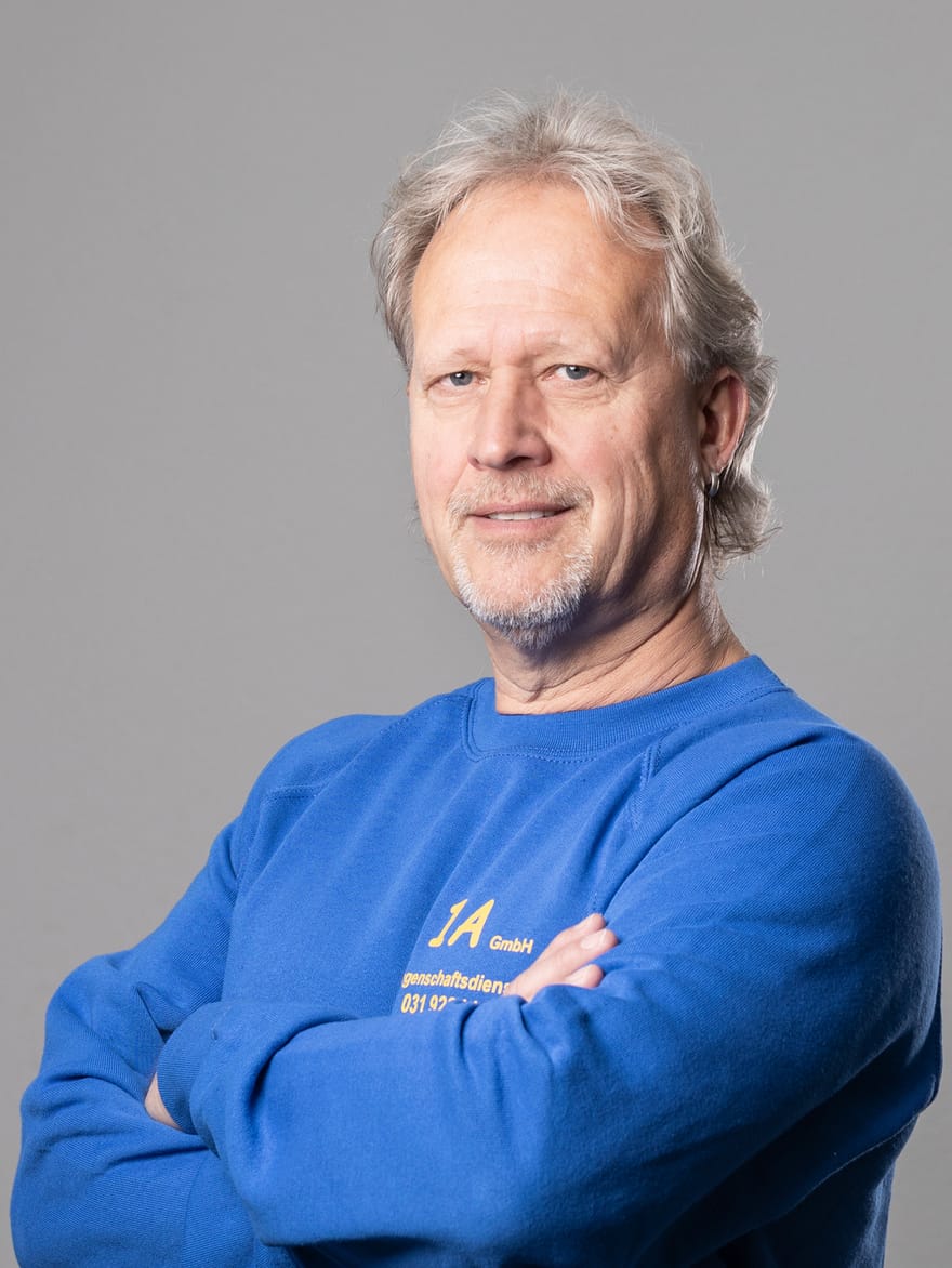 Bruno Wolf, Berater